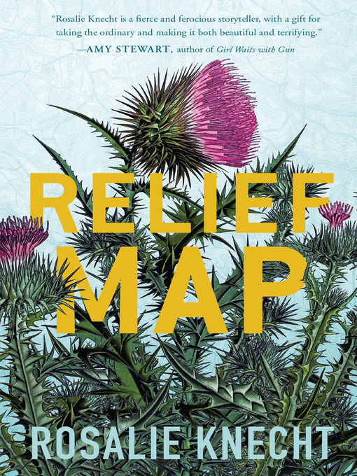 Title details for Relief Map by Rosalie Knecht - Available